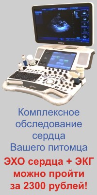 ветклиника еремина в жулебино телефон. Смотреть фото ветклиника еремина в жулебино телефон. Смотреть картинку ветклиника еремина в жулебино телефон. Картинка про ветклиника еремина в жулебино телефон. Фото ветклиника еремина в жулебино телефон